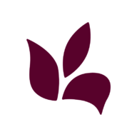 Vitonia Logo شعار فيتونيا